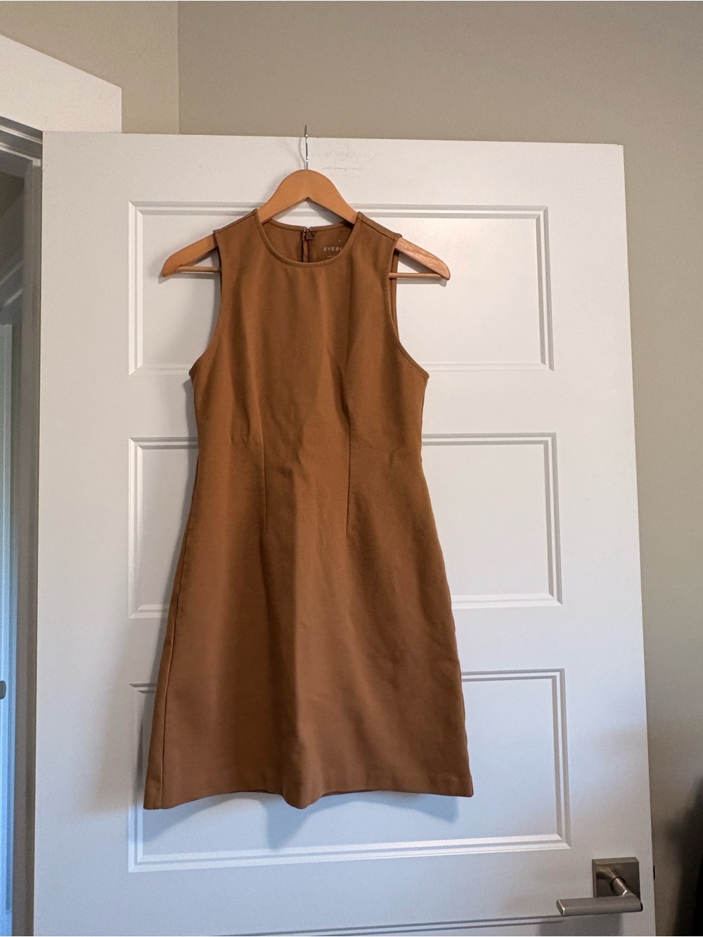 The Dream '90s Shift Dress | Toasted Coconut Everlane Sz Medium